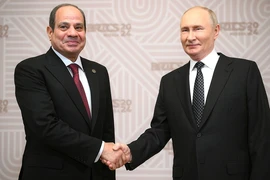 Tổng thống Nga Vladimir Putin và Tổng thống Ai Cập Abdelfattah Sisi tại lễ gặp mặt của Trưởng đoàn các nước BRICS. (Nguồn: website Tổng thống Nga)