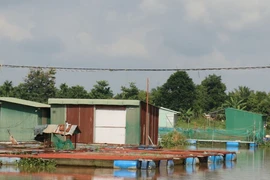 Vị trí nuôi cá lồng bè ở buôn Ea Tung, xã Ea Na, huyện Krông Ana nằm hoàn toàn trong phạm vi lòng hồ thuỷ điện Buôn Kuốp. (Ảnh: Tuấn Anh/TTXVN)