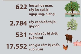 Báo cáo nhanh của một số địa phương miền Trung về thiệt hại do bão số 6 