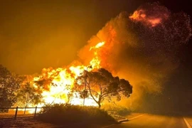 Một đám cháy rừng ở Australia. (Ảnh: AFP/TTXVN)