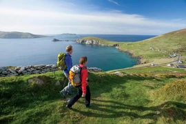 Đi bộ ở Dingle (Ireland). (Nguồn: National Geographic)