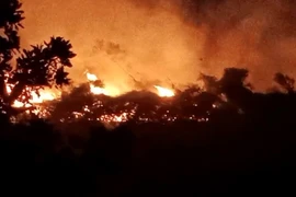 Hiện trường vụ cháy rừng tự nhiên sản xuất xảy ra tại khu vực khe Nà Định, thôn Nà Đình, xã Ngọc Chấn, huyện Yên Bình (Yên Bái). Ảnh: TTXVN phát