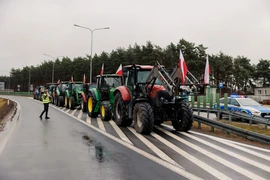 Nông dân Ba Lan biểu tình phản đối ngũ cốc của Ukraine tại giao lộ Poznan Lawica (Ba Lan) ngày 20/2/2024. (Ảnh: PAP/TTXVN)