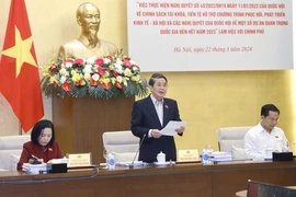 Phó Chủ tịch Quốc hội Nguyễn Đức Hải, Trưởng Đoàn Giám sát phát biểu. (Ảnh: Doãn Tấn/TTXVN)