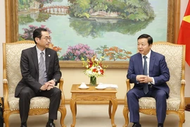 Phó Thủ tướng Trần Hồng Hà tiếp Giám đốc điều hành cấp cao Ngân hàng Hợp tác Quốc tế Nhật Bản Tanimoto Masayuki. (Ảnh: Văn Điệp/TTXVN)