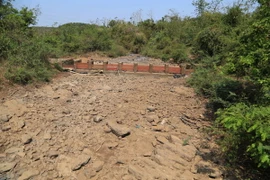 Tỉnh Đắk Nông đang vào cao điểm khô hạn. (Ảnh: Minh Hưng/TTXVN)
