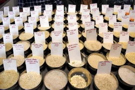 Gạo được bày bán tại Guwahati, Ấn Độ. (Ảnh: ANI/TTXVN)