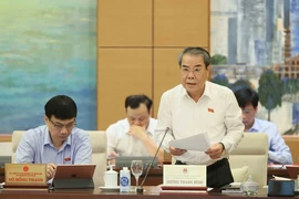 Trưởng Ban Dân nguyện của Quốc hội Dương Thanh Bình trình bày báo cáo thẩm tra. (Ảnh: An Đăng/TTXVN)