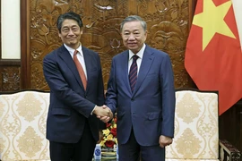 Chủ tịch nước Tô Lâm tiếp Đại sứ Nhật Bản tại Việt Nam Ito Naoki. (Ảnh: Nhan Sáng/TTXVN)