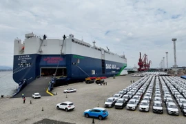 Xe ôtô chờ xuất khẩu tại cảng ở tỉnh Phúc Kiến, Trung Quốc ngày 23/1/2024. (Ảnh: THX/TTXVN)