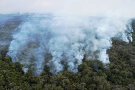 Khói lửa bốc lên từ hiện trường vụ hỏa hoạn ở khu vực Pantanal, bang Mato Grosso, Brazil, ngày 1/8/2020. (Ảnh: AFP/ TTXVN)