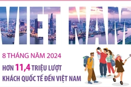 8 tháng năm 2024: Hơn 11,4 triệu lượt khách quốc tế đến Việt Nam