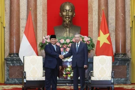 Tổng Bí thư, Chủ tịch nước Tô Lâm tiếp Tổng thống đắc cử Cộng hòa Indonesia Prabowo Subianto. (Ảnh: Lâm Khánh/TTXVN)