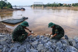 Các chiến sỹ đan rọ sắt để làm kè. (Ảnh: Tuấn Anh/TTXVN)