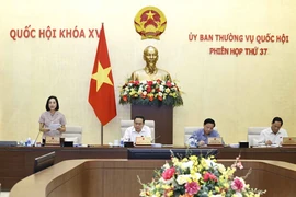 Phó Chủ tịch Quốc hội Nguyễn Thị Thanh phát biểu. (Ảnh: Doãn Tấn/TTXVN)