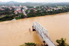 Sự cố sập cầu Phong Châu xảy ra ngày 9/9, do lũ trên sông Thao (sông Hồng) lên rất cao, chảy xiết, cuốn trôi trụ T7 và hai nhịp dàn chính (nhịp 6 và nhịp 7 phía bờ hữu sông Thao, thuộc địa bàn huyện Tam Nông). (Ảnh: Tạ Toàn/TTXVN)