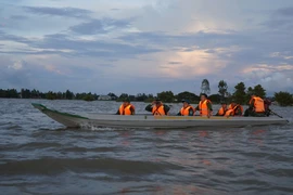 Tổ công tác của Đồn Biên phòng Cầu Muống và các lực lượng liên quan tuần tra phòng, chống buôn lậu trên cánh đồng ngập nước (xã Thường Thới Hậu A, huyện Hồng Ngự). (Ảnh: Nhựt An/TTXVN)