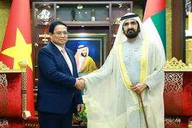 Thủ tướng Phạm Minh Chính hội đàm với Phó Tổng thống, Thủ tướng UAE Sheikh Mohammed bin Rashid Al Maktoum. (Ảnh: Dương Giang/TTXVN)