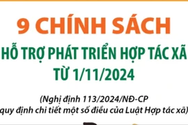 9 chính sách hỗ trợ phát triển hợp tác xã từ 1/11/2024