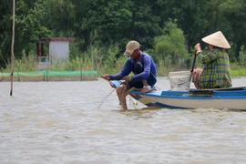 Người dân xã Phú Hội, huyện biên giới An Phú (An Giang), giăng lưới đánh bắt cá trên sông Vĩnh Hội Đông. (Ảnh: Công Mạo/TTXVN)