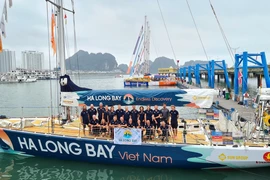 Đội đua Việt Nam tham gia Clipper Race đã về đích thứ 5. (Ảnh: TTXVN phát)
