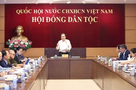 Phó Chủ tịch Thường trực Quốc hội Trần Thanh Mẫn phát biểu. (Ảnh: Doãn Tấn/TTXVN)