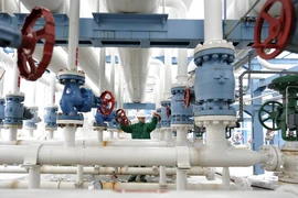 Công nhân kiểm tra hệ thống đường ống dẫn khí đốt tại nhà máy ở Hajduszoboszlo, Hungary. (Ảnh: AFP/TTXVN)