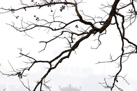 Hồ Gươm ẩn hiện mờ ảo trong sương