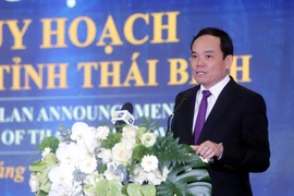 Phó Thủ tướng Chính phủ Trần Lưu Quang phát biểu. (Ảnh: Thế Duyệt/TTXVN)
