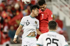 Việt Nam sẽ có hai trận đấu quan trọng với Indonesia trong tháng Ba. (Ảnh: Hoàng Linh/TTXVN)