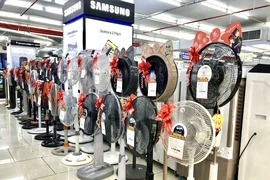 Nhóm sản phẩm quạt máy niêm yết giảm giá đặc biệt tại Thành phố Hồ Chí Minh vẫn vắng bóng khách hàng. (Ảnh: Mỹ Phương/TTXVN)