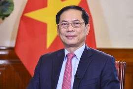 Bộ trưởng Bộ Ngoại giao Bùi Thanh Sơn. (Ảnh: TTXVN phát)