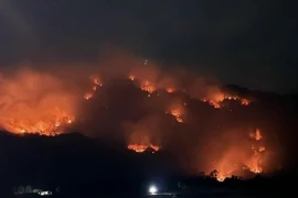 Rừng trên địa bàn xã Núi Tô, huyện Tri Tôn tiếp tục cháy lớn trong đêm 26/4. (Ảnh: TTXVN phát)