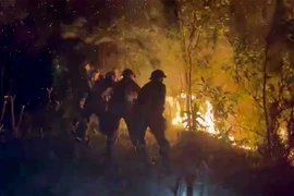 Đến 21 giờ ngày 30/4, đám cháy vẫn chưa được khống chế, các lực lượng tham gia chữa cháy đang tập trung phát đường băng cản lửa, không để đám cháy lan rộng. (Ảnh: TTXVN phát)