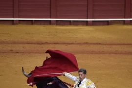 Tây Ban Nha sẽ bỏ giải đấu bò quốc gia