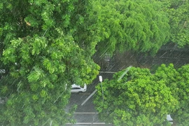 Nhiều khu vực xuất hiện mưa dông, có nơi mưa rất to. (Ảnh: Vietnam+)