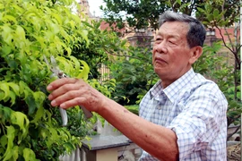 Anh hùng Lực lượng vũ trang nhân dân Nguyễn Quang Hạnh. (Ảnh: Nguyễn Lành/TTXVN)