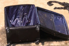 Chiếc vali giấu thi thể nạn nhân. (Nguồn: Công an cung cấp)