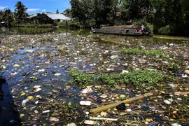Rác thải sinh hoạt do người dân đổ xuống gây ô nhiễm sông Ngan Dừa, đoạn giáp với sông Cái Lớn, thị trấn Ngan Dừa, huyện Hồng Dân, tỉnh Bạc Liêu. (Ảnh: Duy Khương/TTXVN)