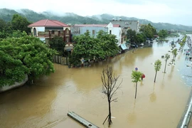 Đường Phạm Văn Xảo, phường Lào Cai, thành phố Lào Cai bị lũ tràn vào, ngập trong biển nước lúc 11g30 ngày 9/9. (Ảnh: Quốc Khánh/TTXVN)