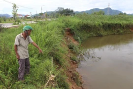 Bờ sông Phước Giang, đoạn qua xã Hành Minh (Quảng Ngãi) xuất hiện nhiều điểm sạt lở. (Ảnh: TTXVN phát)