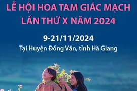 Lễ hội hoa tam giác mạch lần thứ X năm 2024