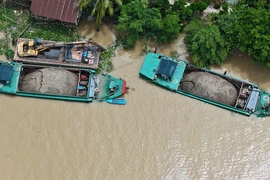 Nhiều tàu cát tập kết tại khu vực giáp ranh giữa tỉnh Tiền Giang và Vĩnh Long. (Ảnh: Hoài Nam/Vietnam+)