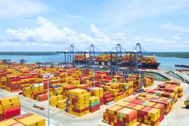 Hãng vận tải biển MSC lấy hàng hóa container tại một bến cảng Việt Nam. (Ảnh: PV/Vietnam+)