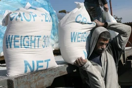 Người dân Palestine nhận lương thực viện trợ nhân đạo tại trại tị nạn ở Rafah, miền Nam Dải Gaza, giáp giới với Ai Cập. (Ảnh: AFP/TTXVN)