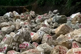 Cơ quan Công an phát hiện hơn 400 tấn đá thạch anh thô tại bãi tập kết đá. (Ảnh: Truyền hình Nghệ An)