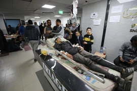 Điều trị cho người Palestine bị thương trong vụ tấn công của Israel nhằm vào người dân chờ nhận viện trợ ở Gaza. (AA/TTXVN)
