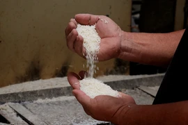 Gạo xuất khẩu của Công ty TNHH Dương Vũ tại ấp Bình Cang, xã Bình Thành, huyện Thủ Thừa, tỉnh Long An. (Ảnh: Hồng Đạt/TTXVN)