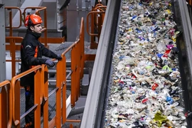 Site Zero có thể phân loại 12 loại rác thải nhựa khác nhau. (Nguồn: AFP)