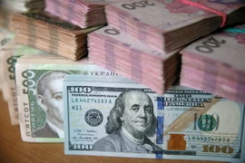 Đồng USD và đồng hryvnia của Ukraine. (Nguồn: Reuters)